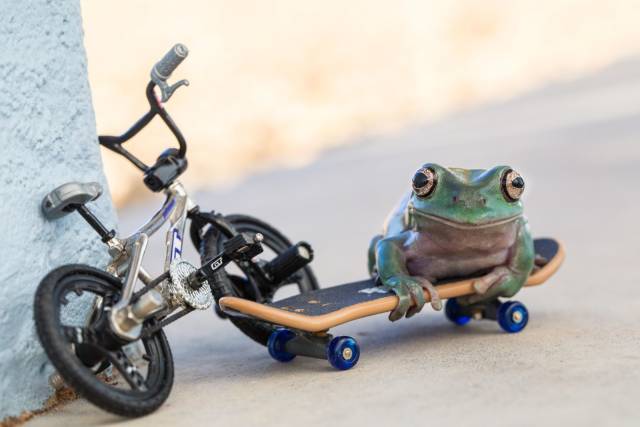 daily picdump 99 pics 44.html - 99 HD Photos | Premium Gallery 2018