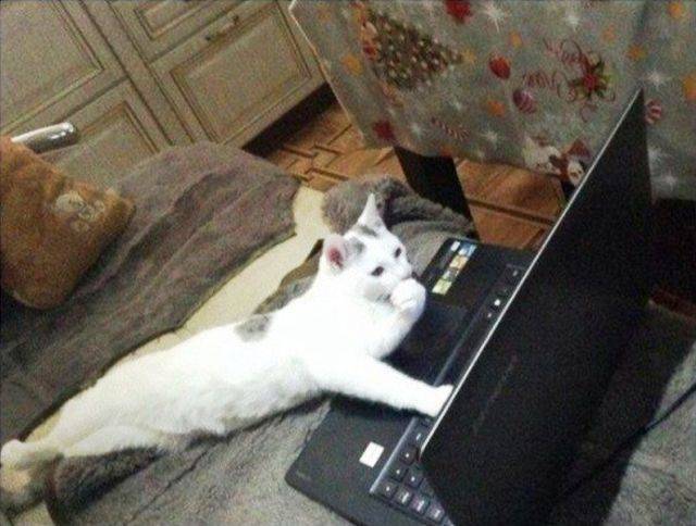 daily picdump 99 pics 44.html - 99 HD Photos | Premium Gallery 2018