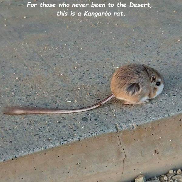 daily picdump 99 pics 44.html - 99 HD Photos | Premium Gallery 2018