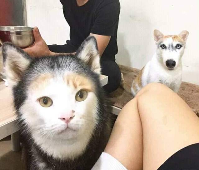 daily picdump 99 pics 44.html - 99 HD Photos | Premium Gallery 2018