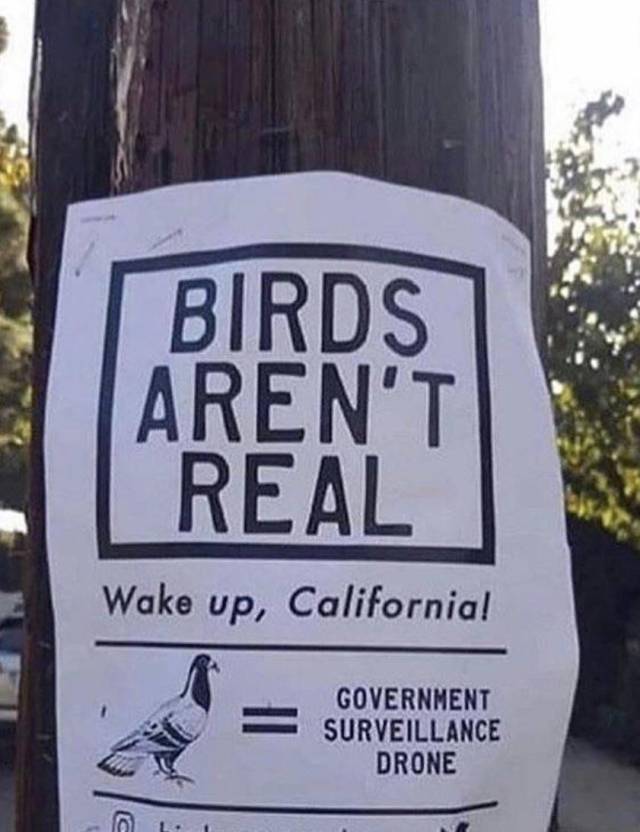 daily picdump 99 pics 44.html - 99 HD Photos | Premium Gallery 2018