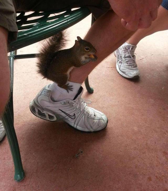 daily picdump 99 pics 44.html - 99 HD Photos | Premium Gallery 2018