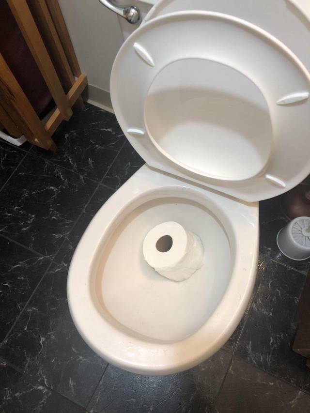 daily picdump 99 pics 44.html - 99 HD Photos | Premium Gallery 2018