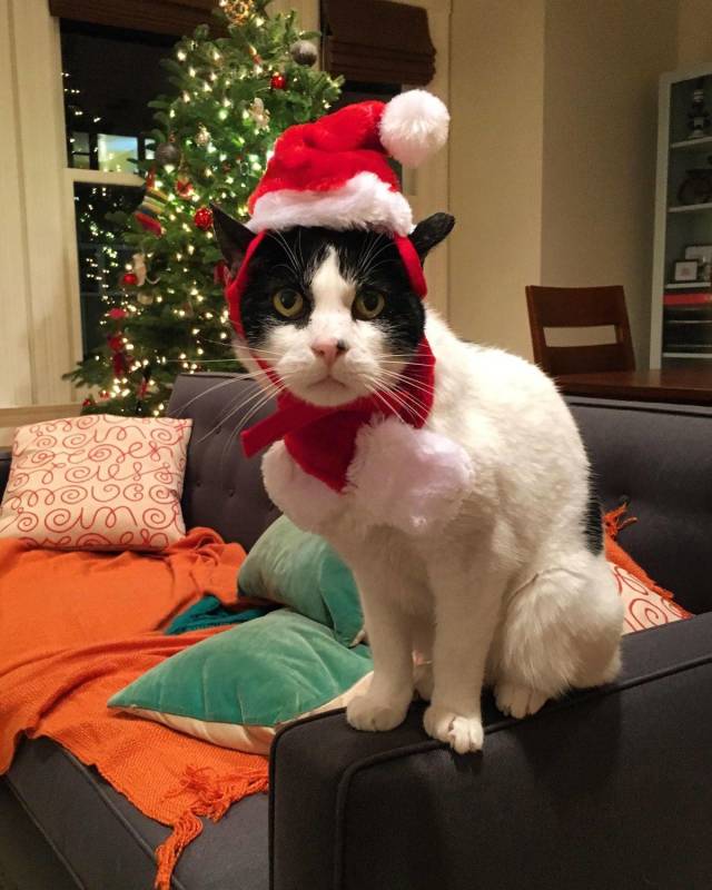 daily picdump 99 pics 44.html - 99 HD Photos | Premium Gallery 2018