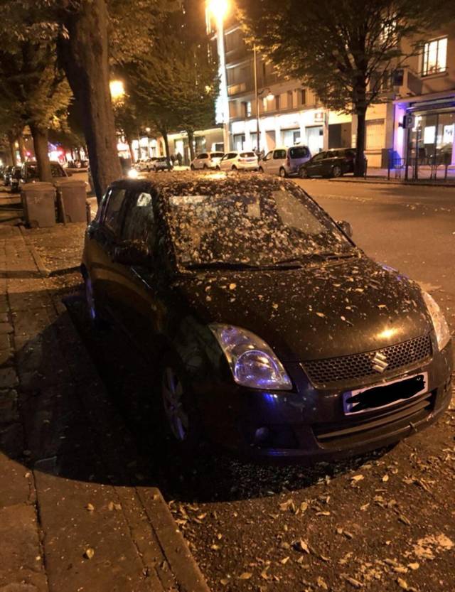 daily picdump 99 pics 44.html - 99 HD Photos | Premium Gallery 2018