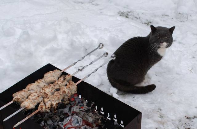 daily picdump 94 pics 36.html - 94 HD Photos | Premium Gallery 2018