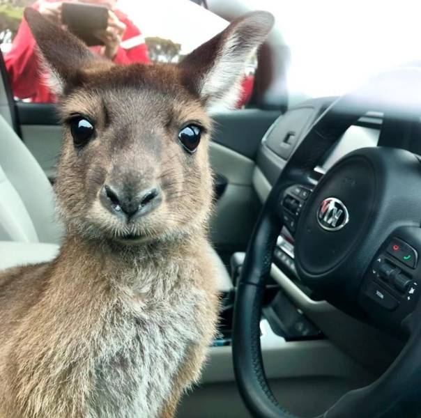 daily picdump 94 pics 36.html - 94 HD Photos | Premium Gallery 2018