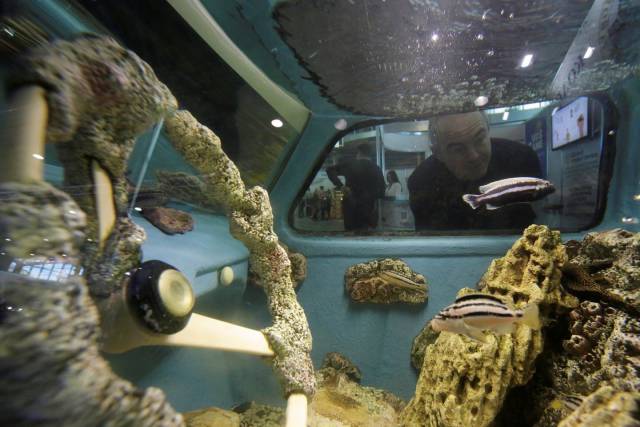 daily picdump 94 pics 36.html - 94 HD Photos | Premium Gallery 2018