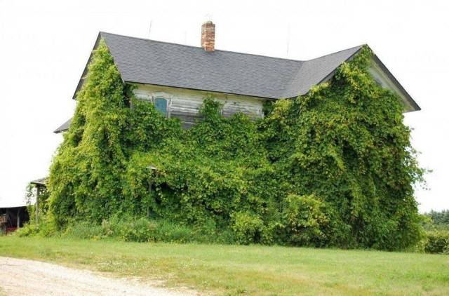 daily picdump 94 pics 36.html - 94 HD Photos | Premium Gallery 2018