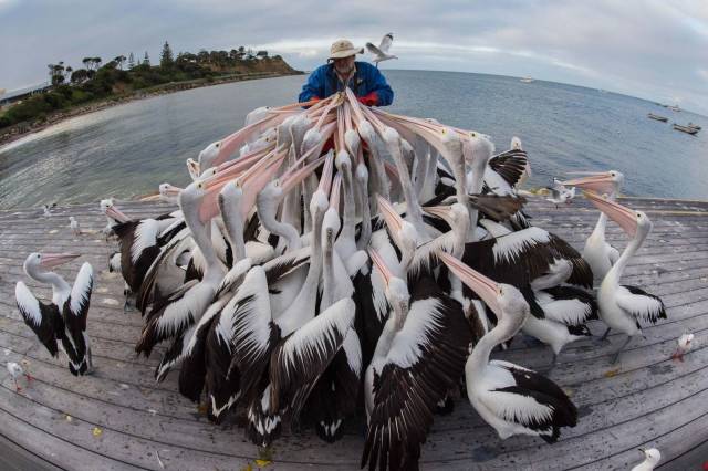 daily picdump 94 pics 36.html - 94 HD Photos | Premium Gallery 2018