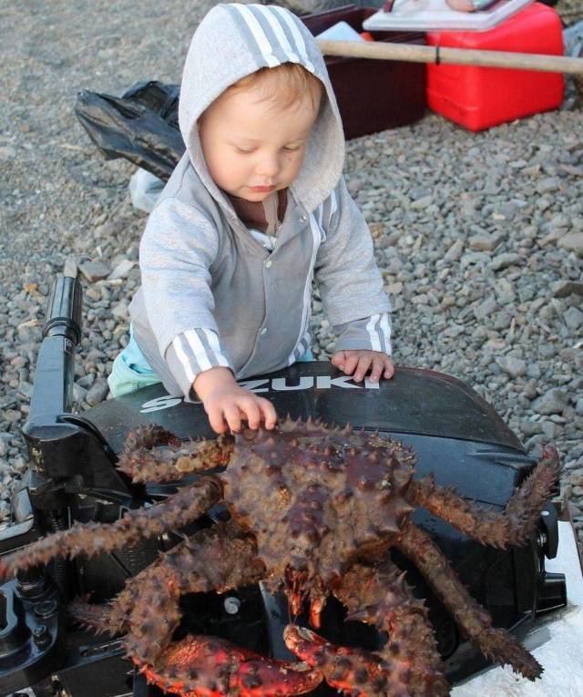 daily picdump 94 pics 36.html - 94 HD Photos | Premium Gallery 2018