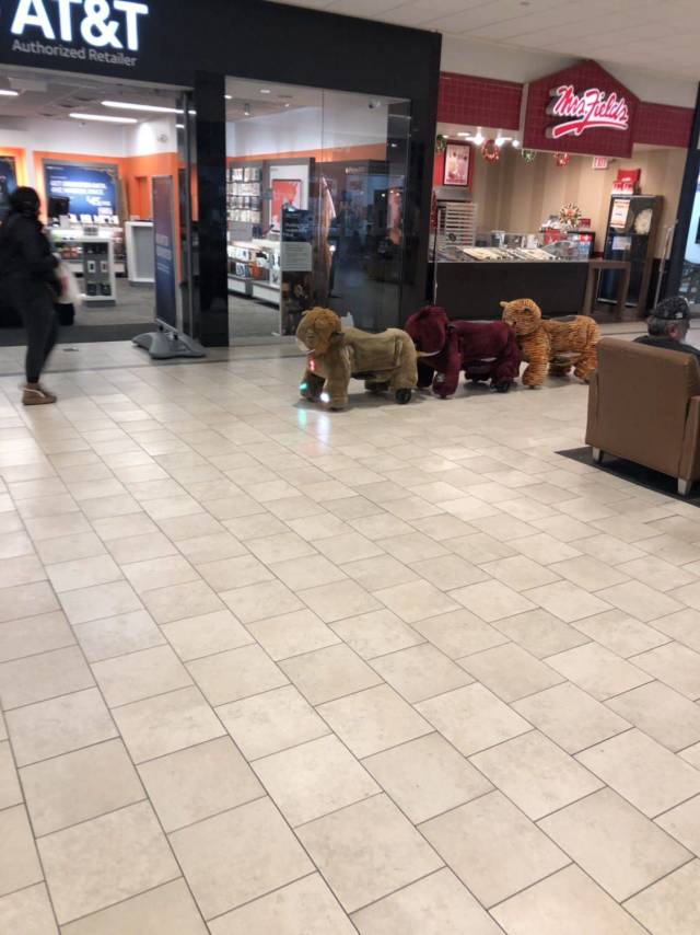 daily picdump 94 pics 36.html - 94 HD Photos | Premium Gallery 2018