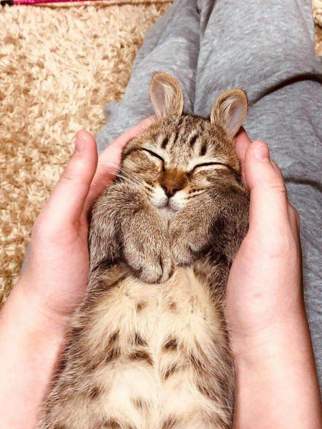 daily picdump 94 pics 36.html - 94 HD Photos | Premium Gallery 2018