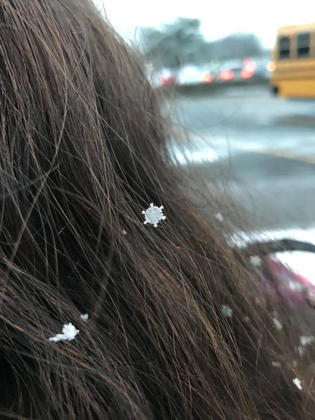 daily picdump 94 pics 36.html - 94 HD Photos | Premium Gallery 2018