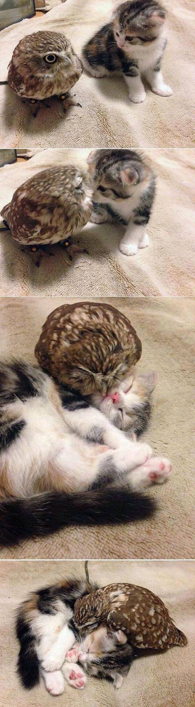 daily picdump 94 pics 36.html - 94 HD Photos | Premium Gallery 2018