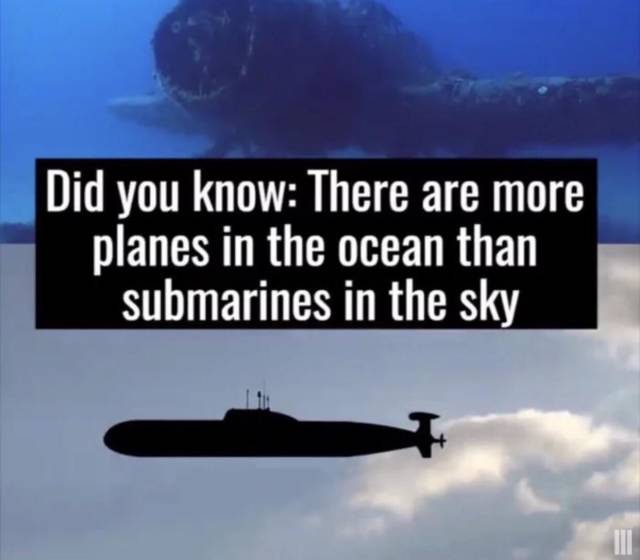 funny picdump 54 pics 1.html - 54 HD Photos | Premium Gallery 2018