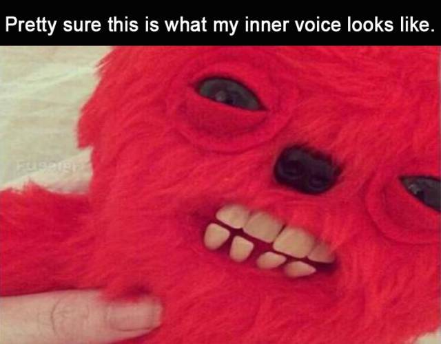 funny picdump 54 pics 1.html - 54 HD Photos | Premium Gallery 2018