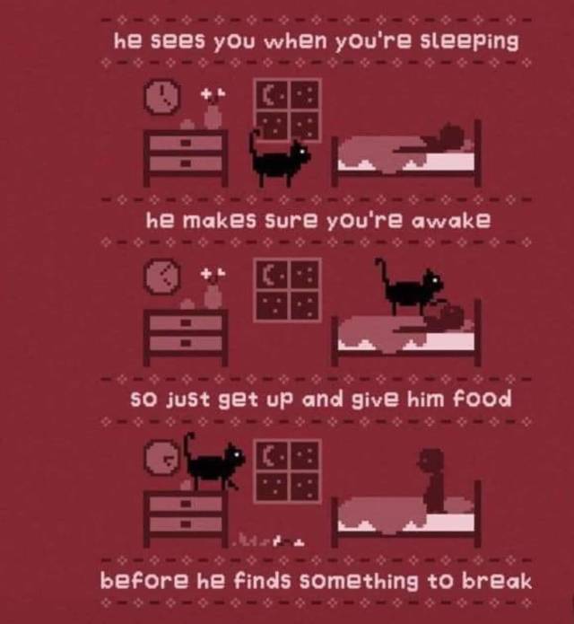 funny picdump 54 pics 1.html - 54 HD Photos | Premium Gallery 2018