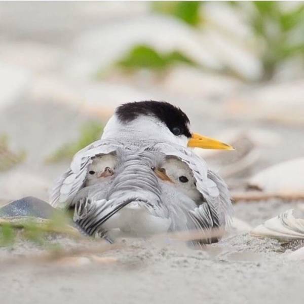 page,3,top 250 morning pics of the year 2018.html - 1 HD Photos | Premium Gallery 2018