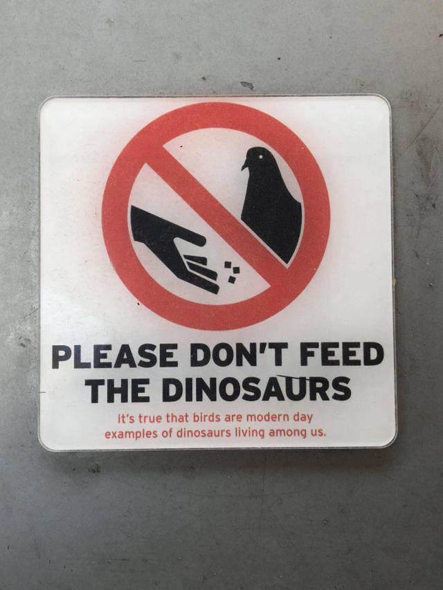 morning picdump 50 pics 46.html - 50 HD Photos | Premium Gallery 2018