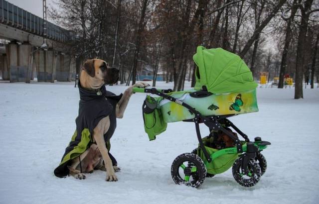 daily picdump 99 pics 13.html - 99 HD Photos | Premium Gallery 2018