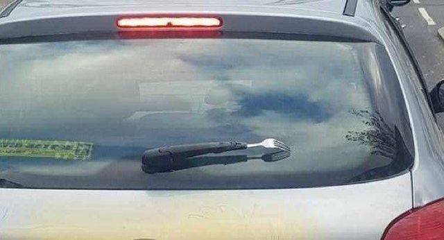 daily picdump 99 pics 13.html - 99 HD Photos | Premium Gallery 2018