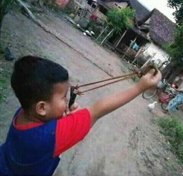 daily picdump 99 pics 13.html - 99 HD Photos | Premium Gallery 2018