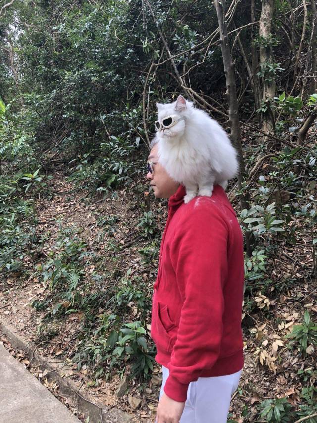 daily picdump 99 pics 13.html - 99 HD Photos | Premium Gallery 2018