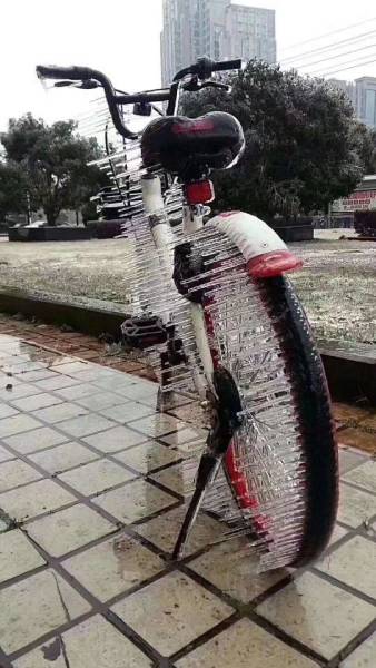 page,3,top 250 morning pics of the year 2018.html - 1 HD Photos | Premium Gallery 2018