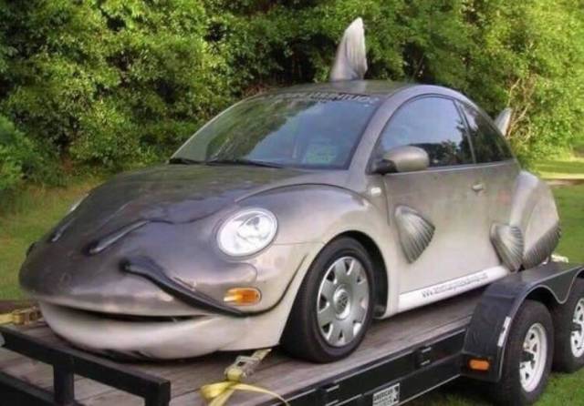 Morning Picdump
