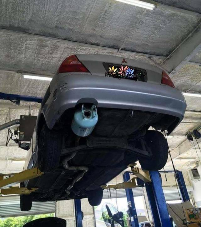 Morning Picdump