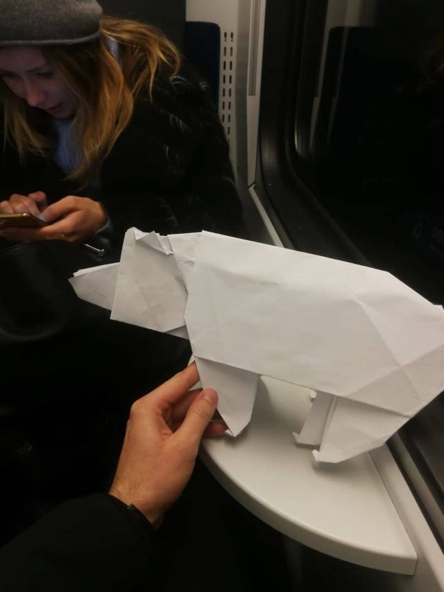 Morning Picdump