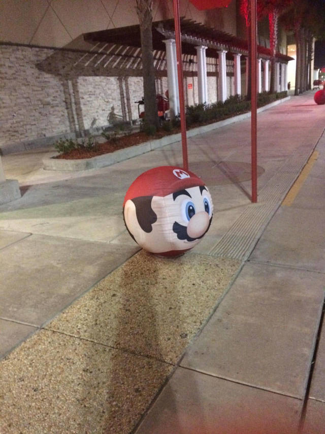 Morning Picdump