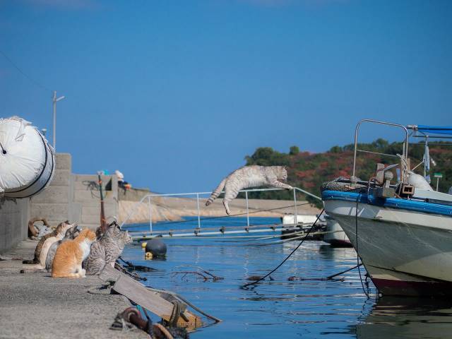 daily picdump 96 pics 2.html - 96 HD Photos | Premium Gallery 2018