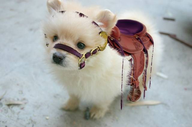 daily picdump 96 pics 2.html - 96 HD Photos | Premium Gallery 2018