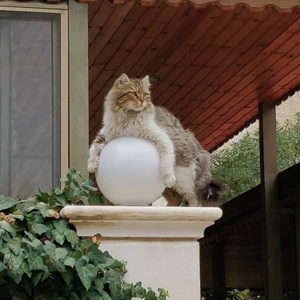 daily picdump 96 pics 2.html - 96 HD Photos | Premium Gallery 2018