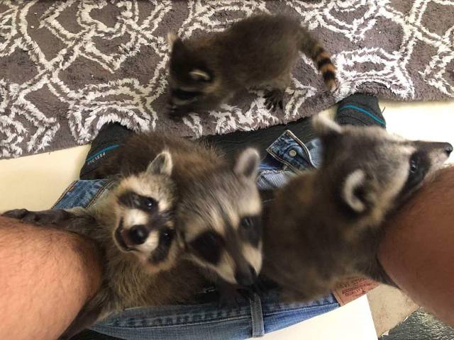 daily picdump 96 pics 2.html - 96 HD Photos | Premium Gallery 2018