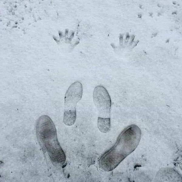 daily picdump 96 pics 2.html - 96 HD Photos | Premium Gallery 2018