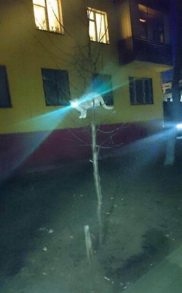 daily picdump 96 pics 2.html - 96 HD Photos | Premium Gallery 2018