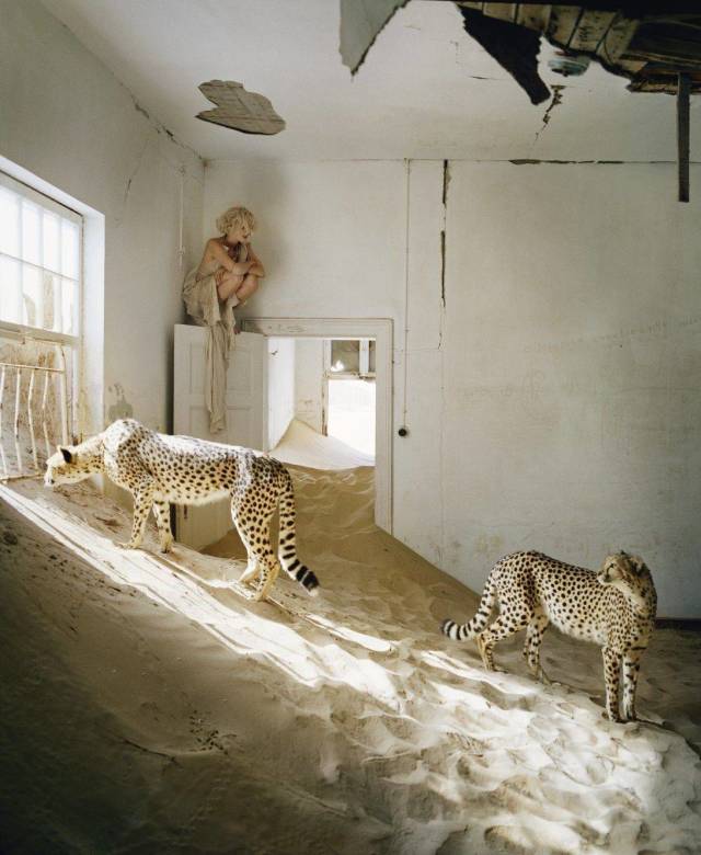 daily picdump 96 pics 2.html - 96 HD Photos | Premium Gallery 2018