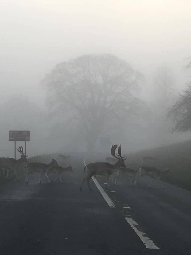 daily picdump 96 pics 2.html - 96 HD Photos | Premium Gallery 2018