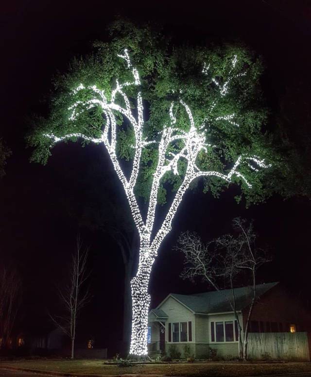 daily picdump 96 pics 2.html - 96 HD Photos | Premium Gallery 2018