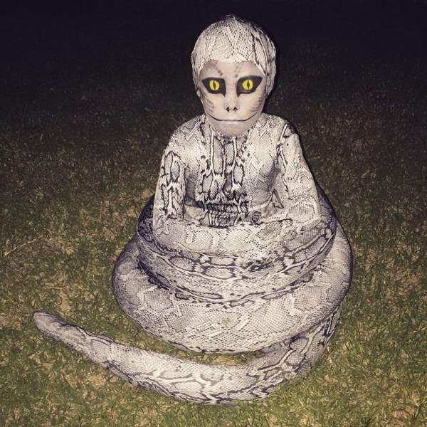 Hard-to-explain WTF Photos