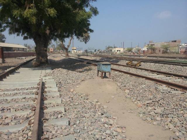 Hard-to-explain WTF Photos