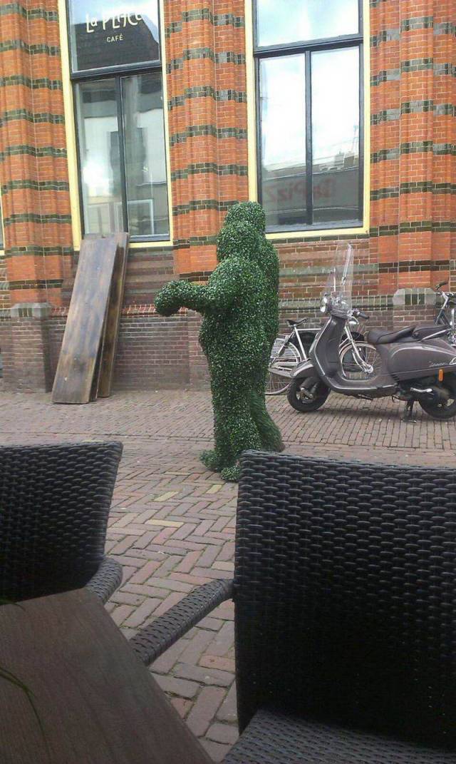 Hard-to-explain WTF Photos