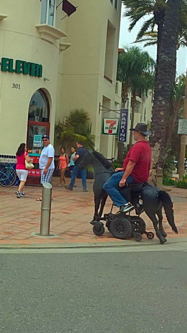 Hard-to-explain WTF Photos