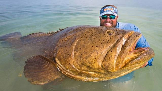 daily picdump 94 pics 45.html - 94 HD Photos | Premium Gallery 2018