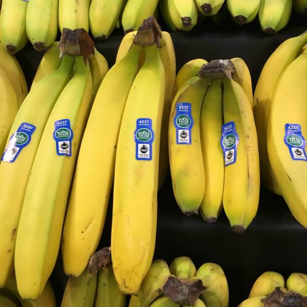 daily picdump 94 pics 45.html - 94 HD Photos | Premium Gallery 2018