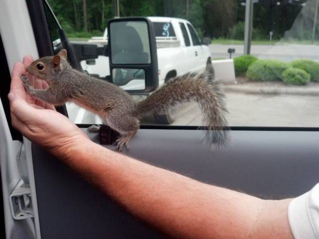 daily picdump 94 pics 45.html - 94 HD Photos | Premium Gallery 2018