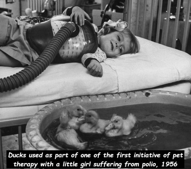 daily picdump 94 pics 45.html - 94 HD Photos | Premium Gallery 2018